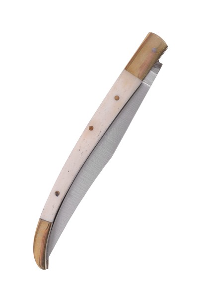 Folding Knife with Bone Handle Scales